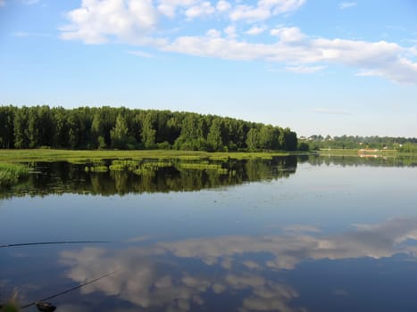Reflection of trees in water