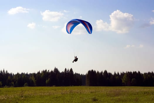 Paraglider landing with blue wing
