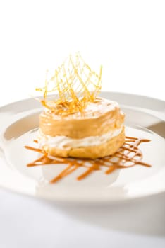 Delicious creamy dessert with caramel topping on isolated background