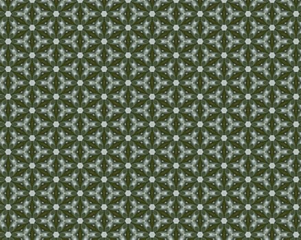 the vintage shabby background with classy patterns