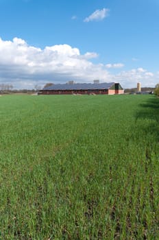 barn with its roof full with solar panels