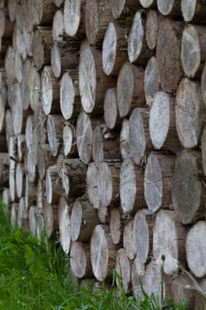 Wood