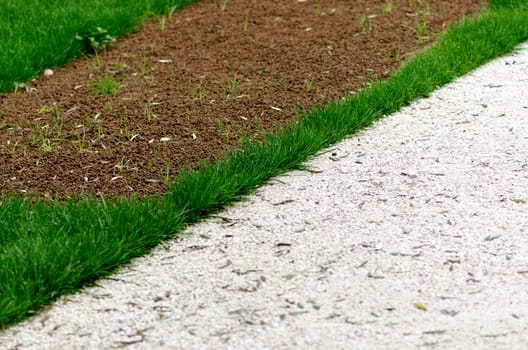 white gravel road with grass