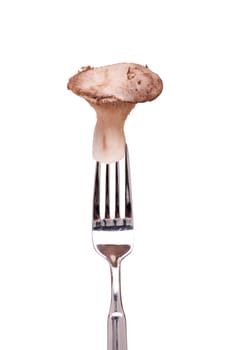 Raw mushroom king oyster mushroom on a fork