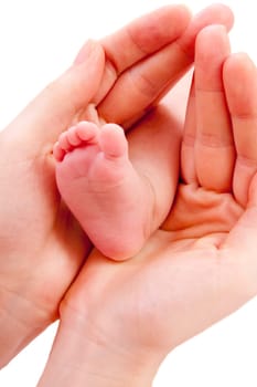 baby foot