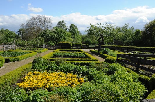 Cottage garden