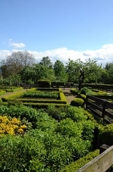 Cottage garden