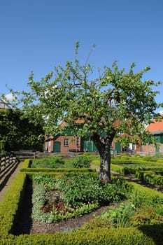 Cottage garden
