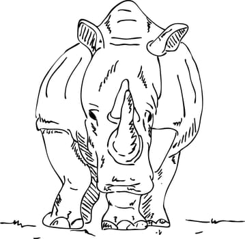 vector - big rhino isolated on background