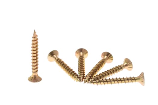 details of gold screws isolated on white