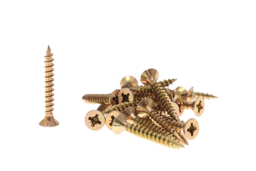 details of gold screws isolated on white