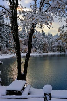 A small country lake surrounded by pine and cedar trees covered in an early winter snowfall.