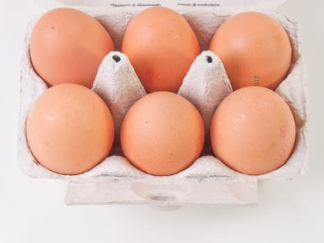 Six eggs in a carton box