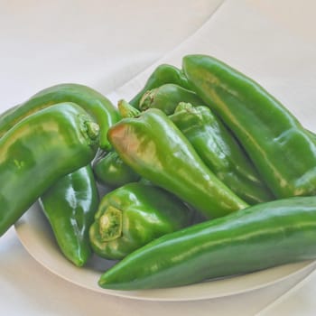 Green pepper, aka sweet pepper or chilli capsicum