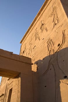 The Carved wall of Temple of Isis at Philae island in the sunset light.  ( Egypt)