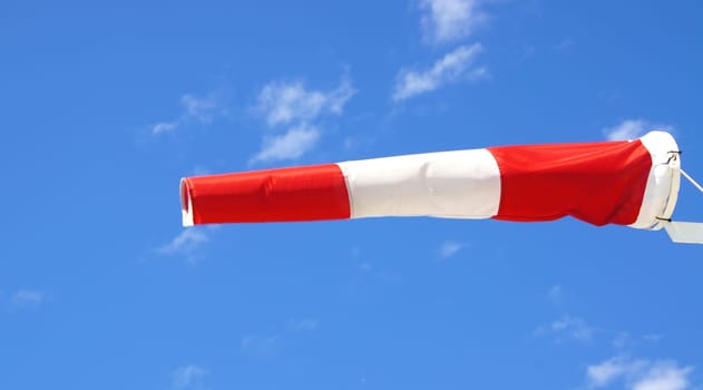 The picture shows a classic flag at full development. - The picture shows a classic flag in full development.