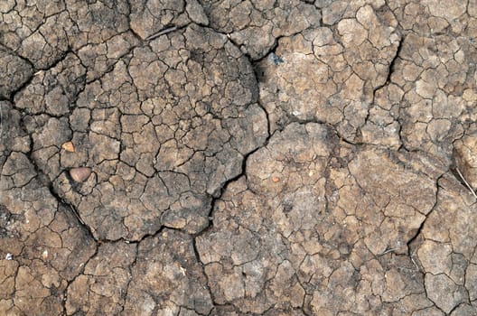 Dried and cracking mud texture from the seashore