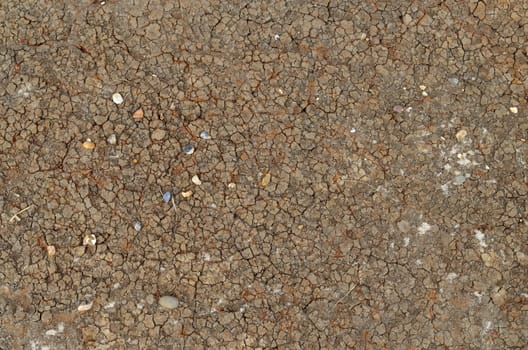 Dried sand and mud along the shoreline