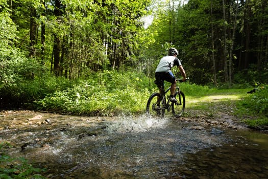 Mountain bikers in action