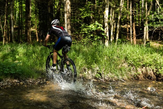 Mountain bikers in action