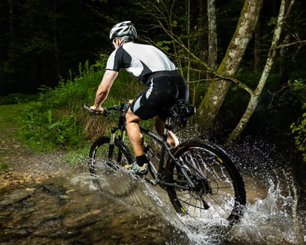 Mountain bikers in action