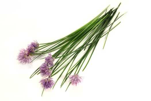 a bunch of chives with flowers against a light background