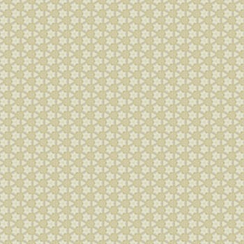 the vintage shabby background with classy patterns