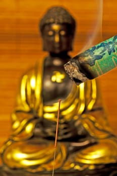 Acupuncture needle and moxa cigar