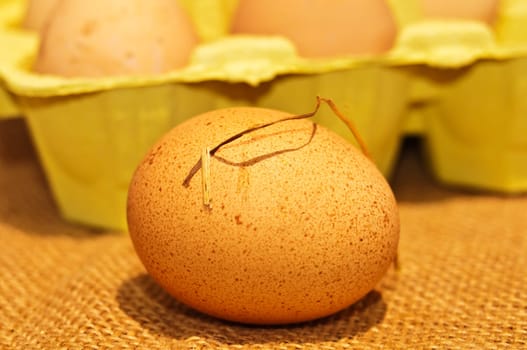 Egg from organic farming