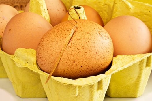 Egg from organic farming