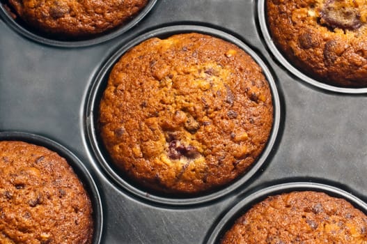 Muffin