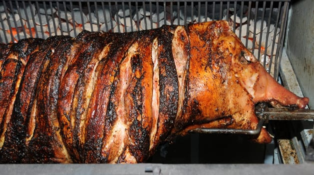 Suckling pig