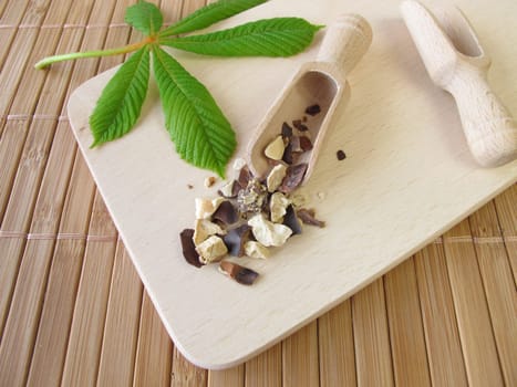 Horse chestnut seeds,Hippocastani semen