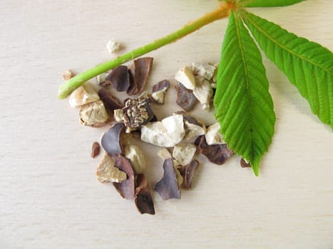 Horse chestnut seeds,Hippocastani semen