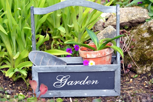 Plants Garden Tool