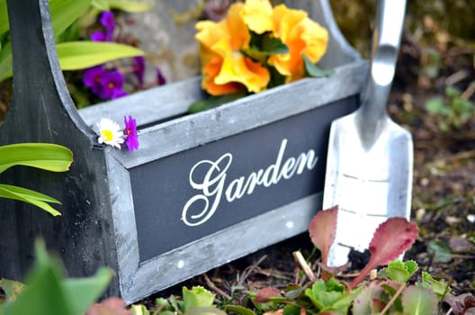 Plants Garden Tool