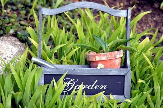 Plants Garden Tool