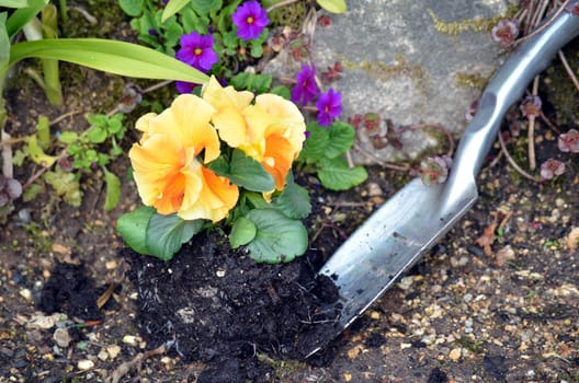 Plants Garden Tool
