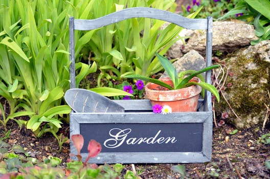 Plants Garden Tool