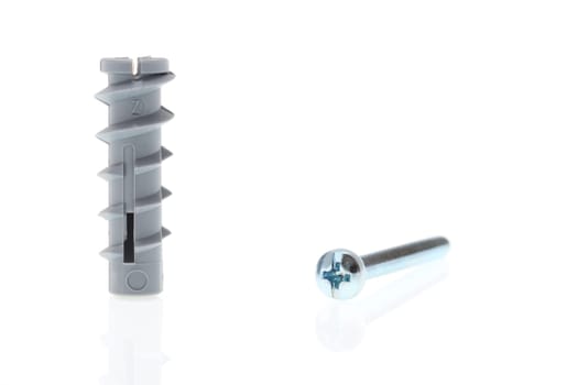details of a dowel and a screw isolated on white