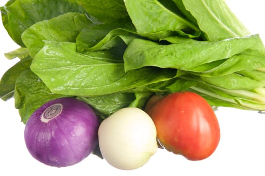 fresh organic vegetables freshly picked from the garden