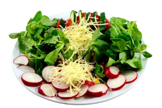 Colorful salad platter