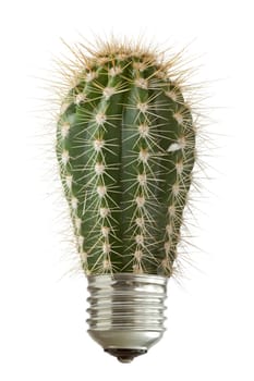 Green spiky cactus growing out of a bulb. Isolated on white background
