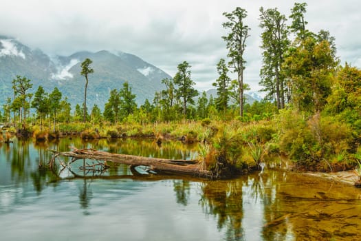 View of the Lake Brunner.  New Zealand