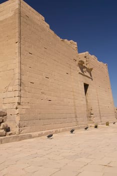 Temple of Kalabsha (Egypt, Africa). Vertically.