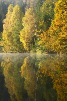 Forest lake in the autumn morning.  Above the lake is a mist.