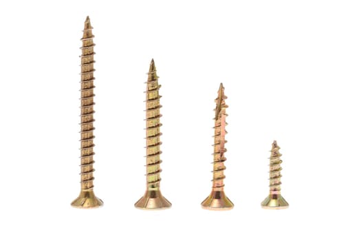 details of gold screws isolated on white
