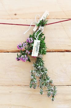 Bunch of fresh thyme with flowers and a name label hanging by a wooden peg against a wooden wall