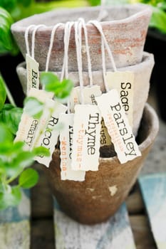 Some different Herb labels hanging on vintage plant pots.