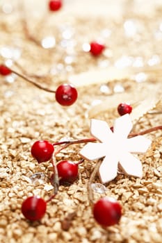 One white star and some red decoration for christmas. Whole series in my Portfolio